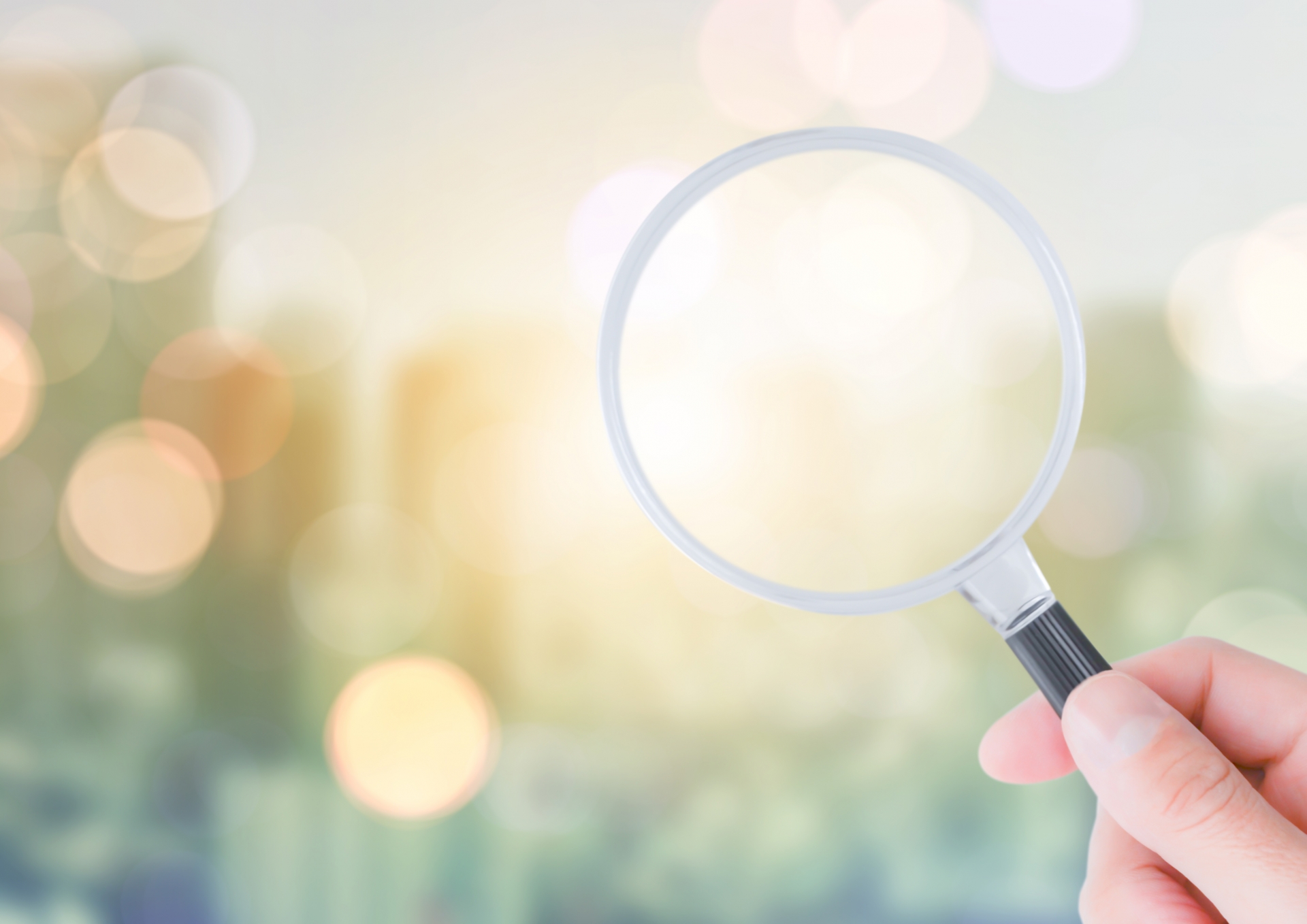 ビジバディ 提供者の写真